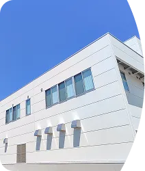 白を基調とした建物の外観