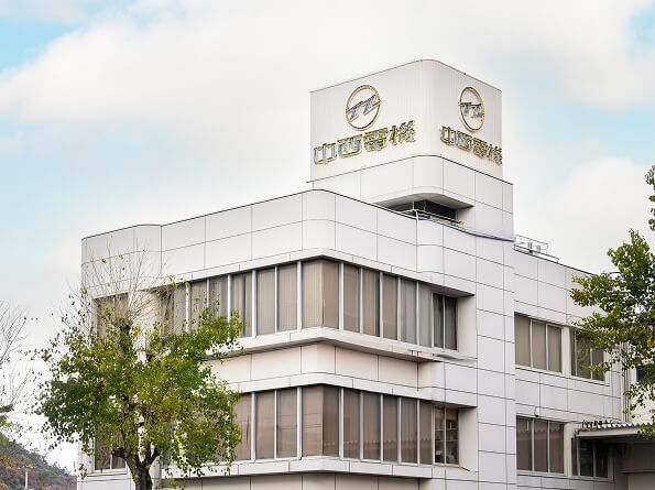 明るいリビングで2匹の小型犬と過ごす女性の足元